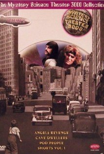 Angels' Brigade (1979) cover