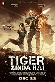 Tiger Zinda Hai (2017) cover